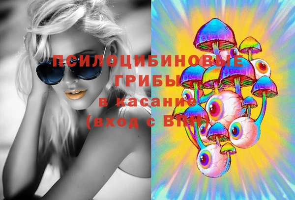 гидропоника Белоозёрский