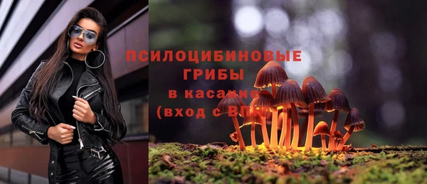гидропоника Белоозёрский