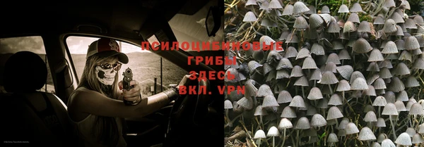 эйфоретик Беломорск