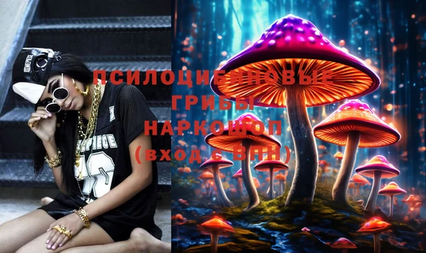 эйфоретик Беломорск