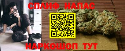 эйфоретик Будённовск