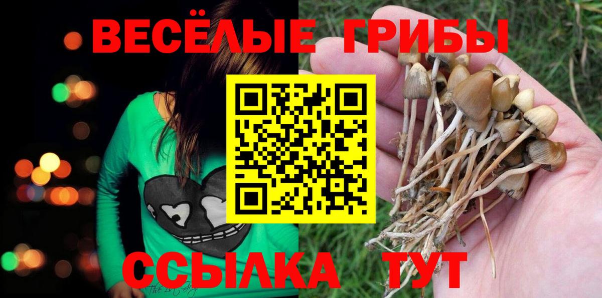 Галлюциногенные грибы мухоморы Кузнецк